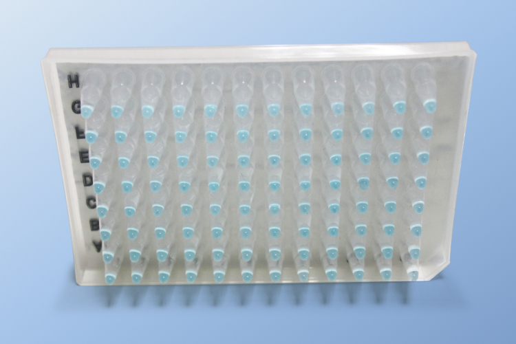 大象视颇dxvv55xyz